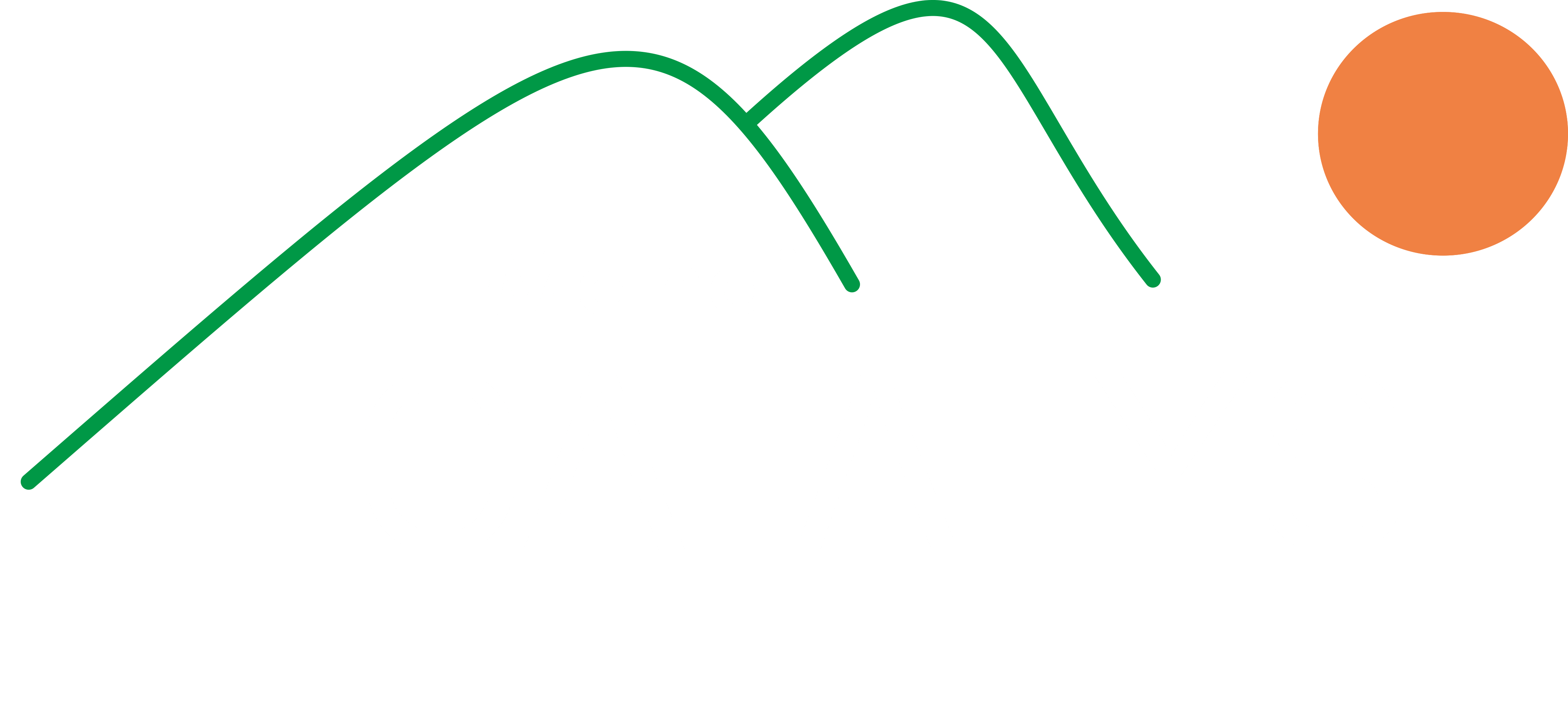 IIT Mandi Catalyst Technology